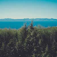 网络ddos监测分析工具