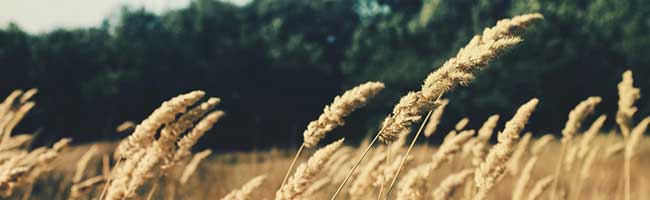 小黑ddos压力测试平台