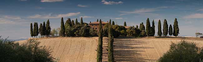 ddos网页在线攻击