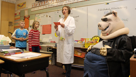 网站攻击软件工具